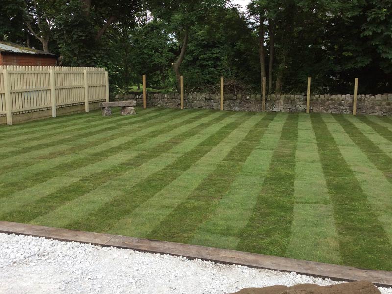 Professional gardening