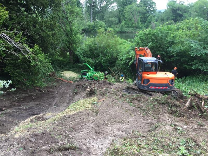 Tree surgery work