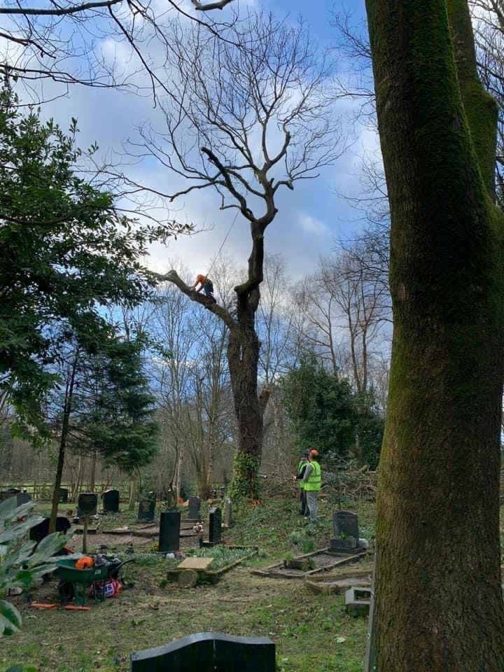 Garden transformation